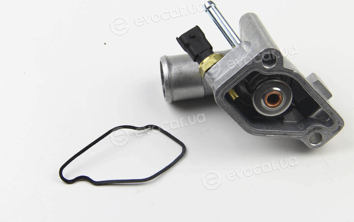 Motorad 541-92K