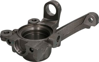Reinhoch RH08-0058