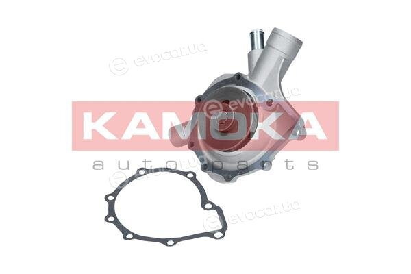 Kamoka T0197