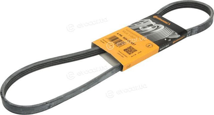 Continental 4PK924 ELAST