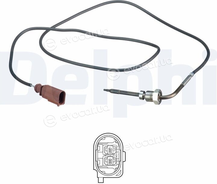 Delphi TS30169