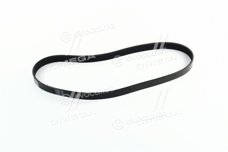 Dayco 6PK880
