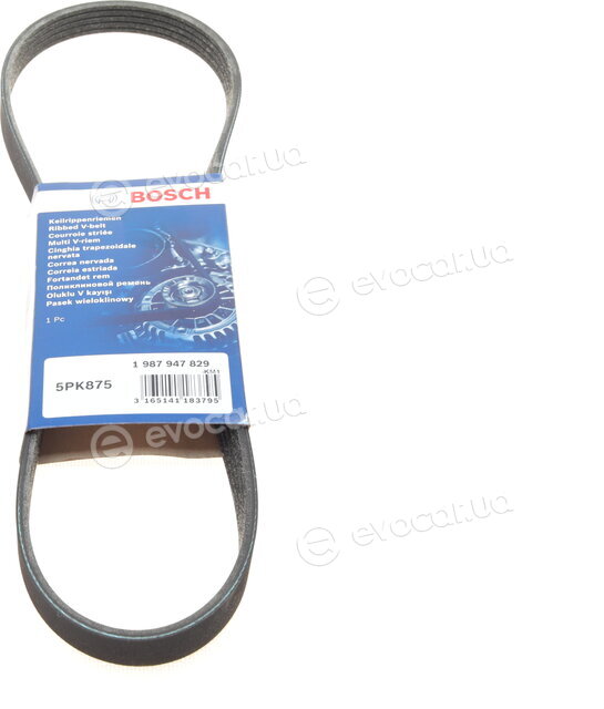Bosch 1 987 947 829