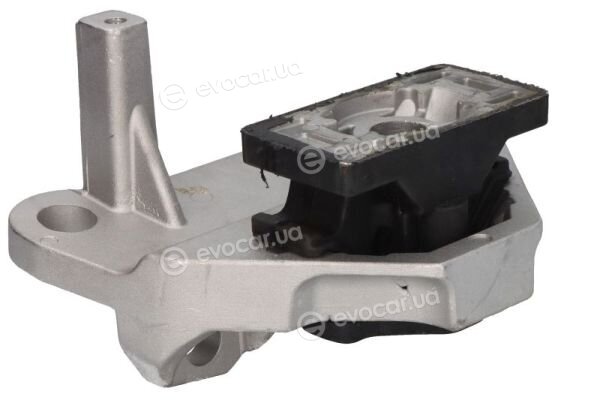Reinhoch RH11-1093