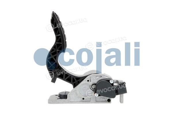 Cojali 2260503