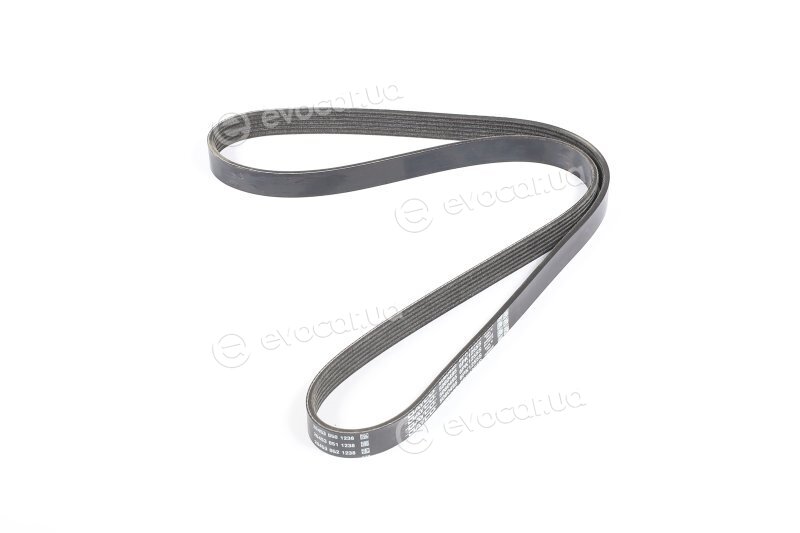 Dayco 6PK1255S
