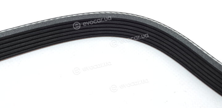 Dayco 6PK1625