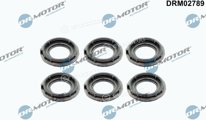 Dr. Motor DRM02789