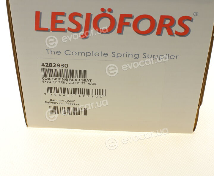Lesjofors 4282930