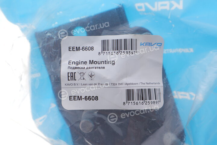 Kavo EEM-6608