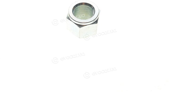 Solgy 216177