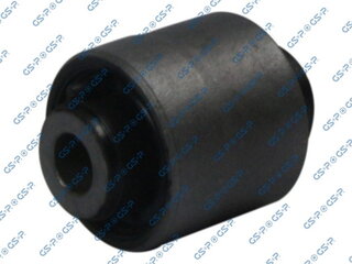 GSP 516308