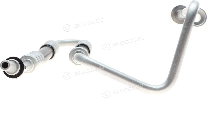 AIC 55968