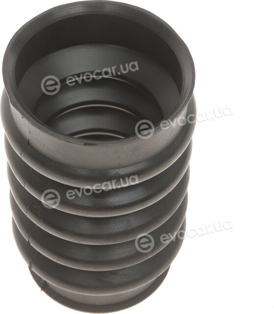 Solgy 218001