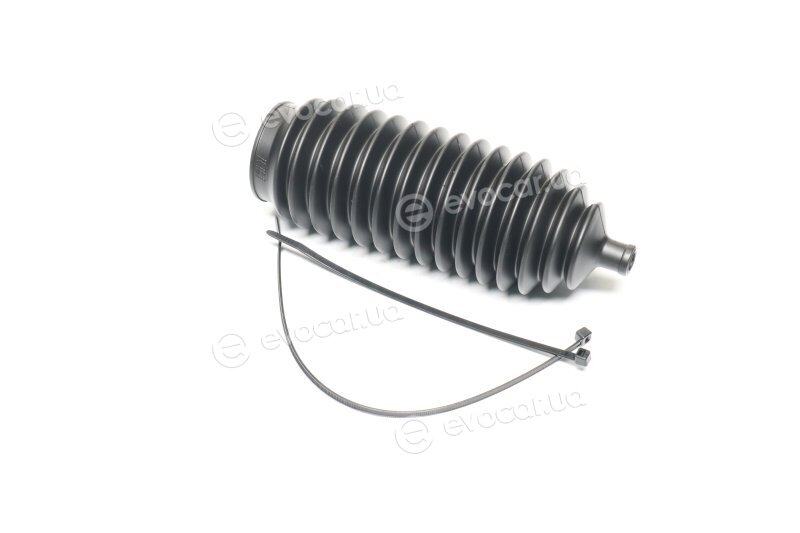 RBI N18PF01