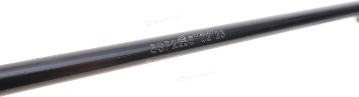 Magneti Marelli 301191622350