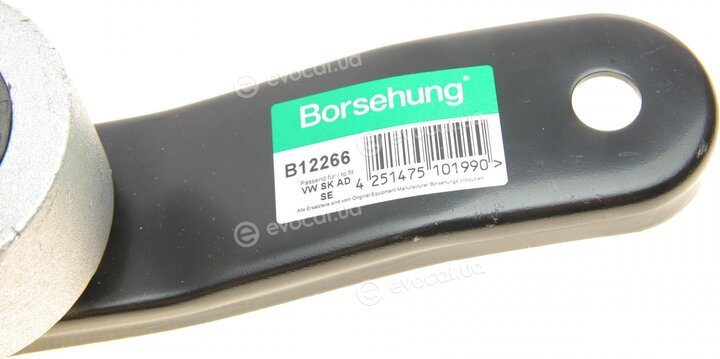 Borsehung B12266