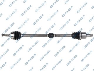 GSP 239282