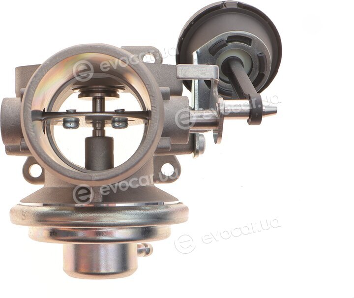 AIC 55768