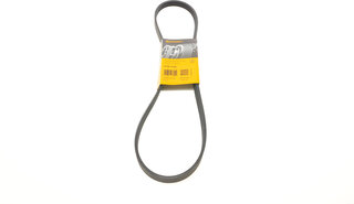 Continental 5PK1135