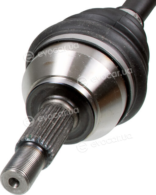 Febi 182024