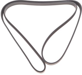 Dayco 5PK1800