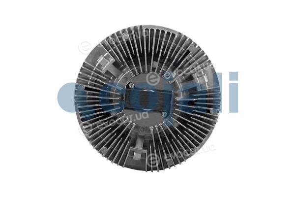 Cojali 7063115
