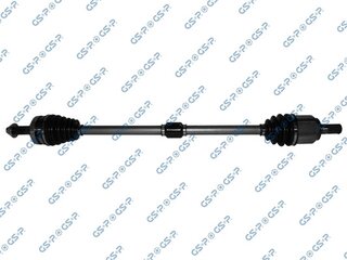 GSP 224261