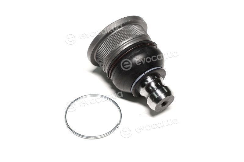 Sasic 7574003