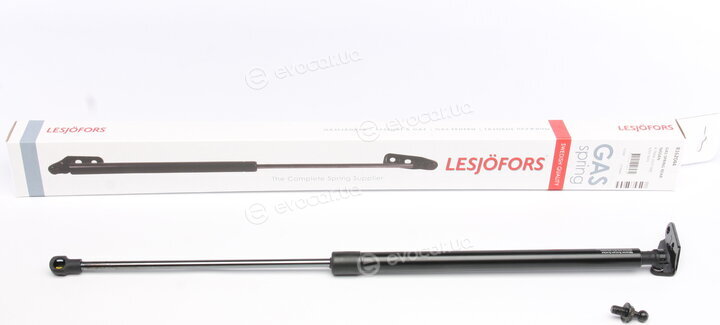 Lesjofors 8162044