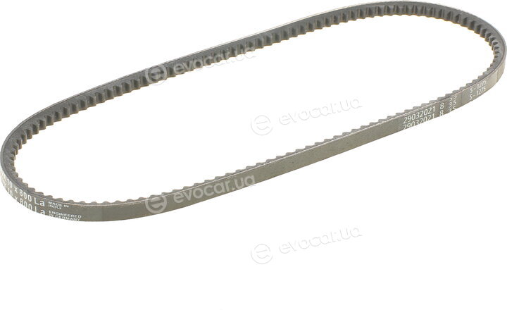 Continental AVX10X800