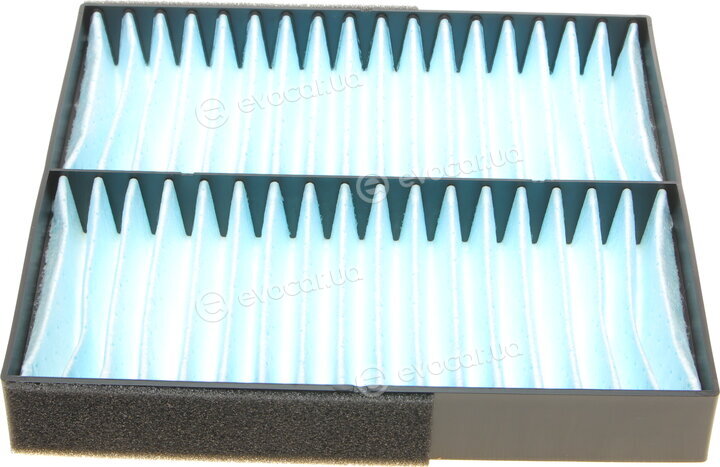 Blue Print ADC42519