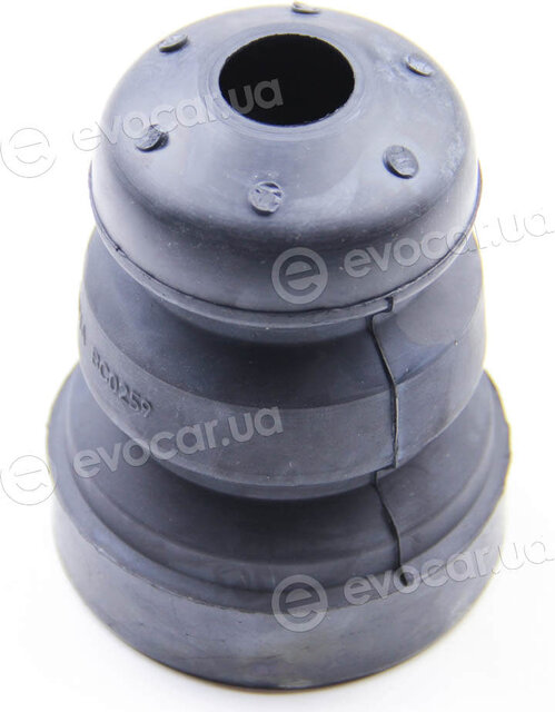 BC Guma 0259