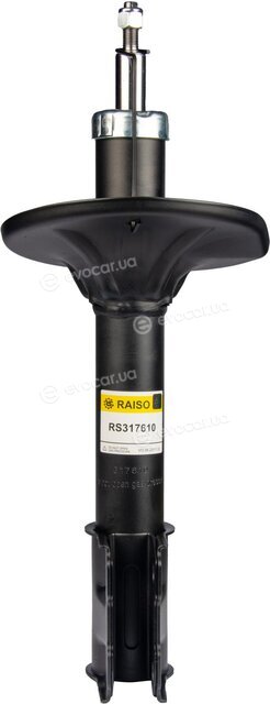 Raiso RS317610