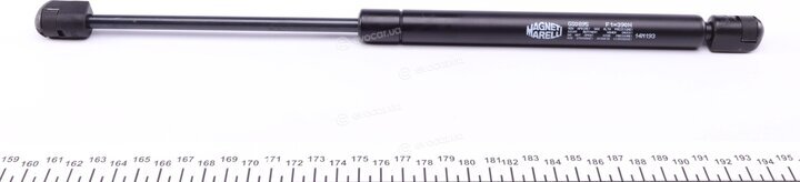 Magneti Marelli 430719089500