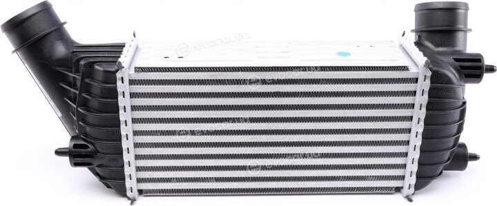 Mahle CI 181 000P