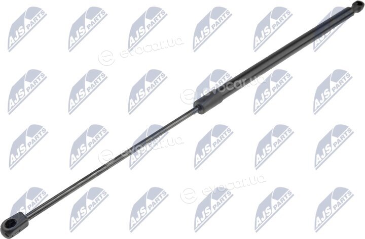 NTY AE-MS-010