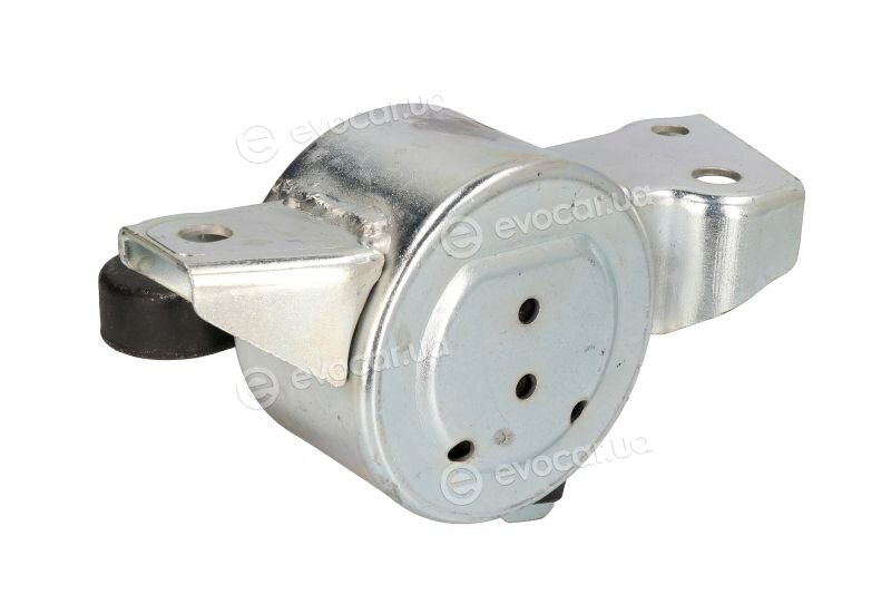 Reinhoch RH11-5058