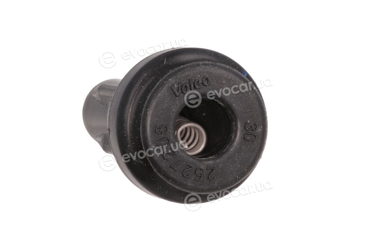 Valeo 245234
