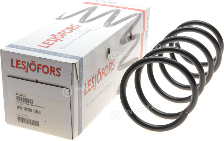 Lesjofors 4217004