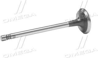 Gunes 7614
