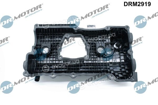 Dr. Motor DRM2919