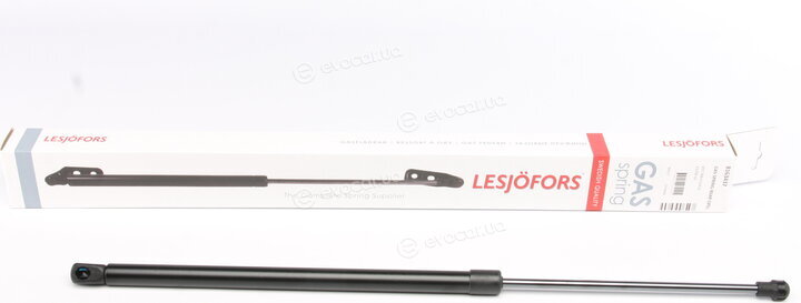 Lesjofors 8163437