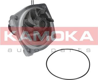 Kamoka T0006