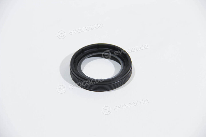 Elring 377.450