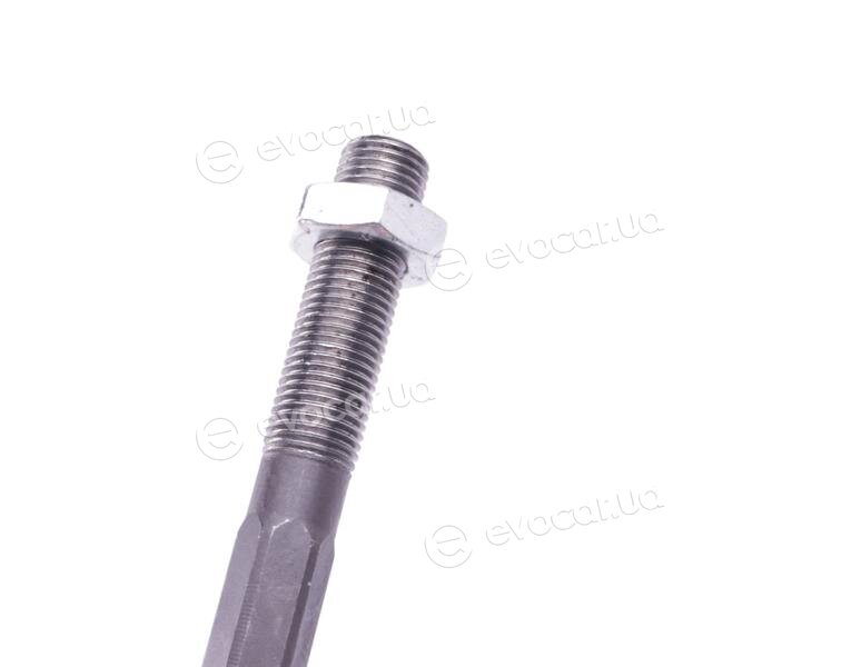 Solgy 205010