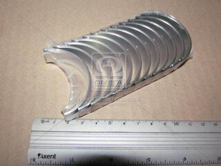 Taiho R123A075