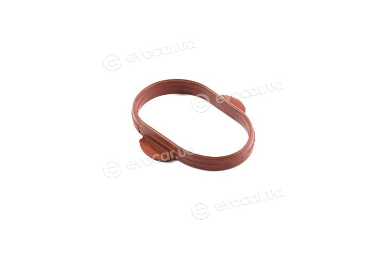 Elring 484.980
