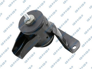 GSP 513776