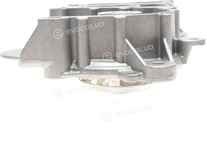 Hepu P674